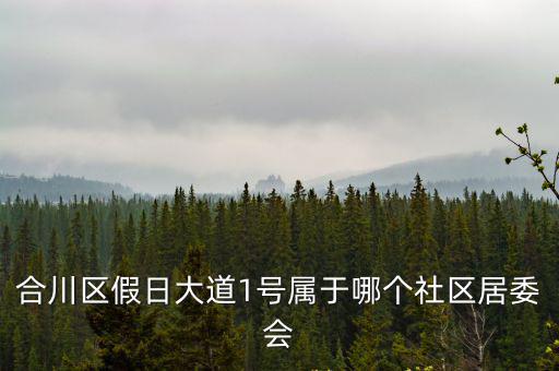 重慶市合川區街道社區，合川區南津街望江樓婆婆灣屬于哪個社區