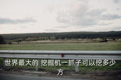 世界最大的 挖掘機一抓子可以挖多少方
