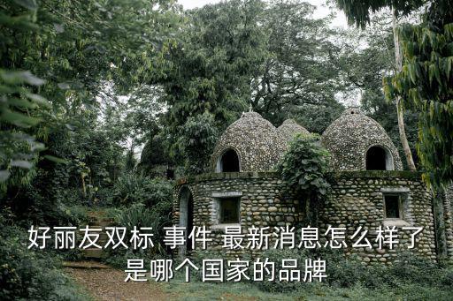 好麗友雙標 事件 最新消息怎么樣了是哪個國家的品牌