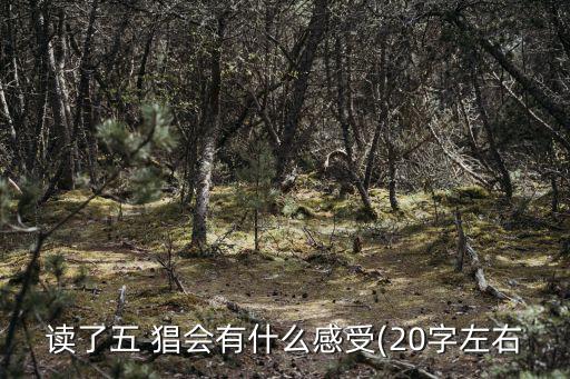 五猖會讀后感,五猖會背后的人間蒸發(fā)