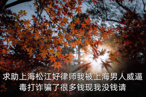 求助上海松江好律師我被上海男人威逼毒打詐騙了很多錢現我沒錢請