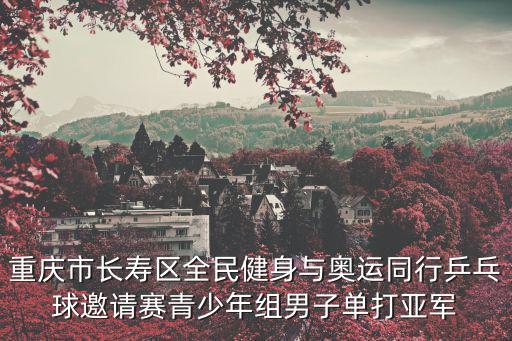 重慶市長壽區全民健身與奧運同行乒乓球邀請賽青少年組男子單打亞軍