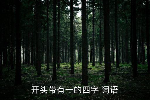 帶一的詞語,第二集:一文看懂:人生的意義