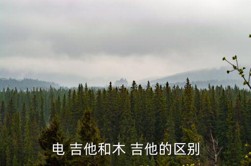 電 吉他和木 吉他的區(qū)別