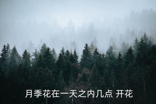  月季花在一天之內(nèi)幾點(diǎn) 開花
