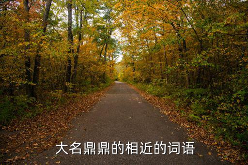 大名鼎鼎的近義詞,第24集:大名鼎鼎反義詞是匿名