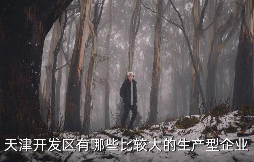 天津開發(fā)區(qū)有哪些比較大的生產型企業(yè)