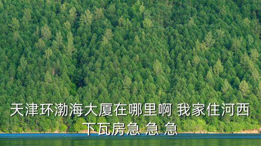 天津市河西區曲江路渤海樓，天津市 光大銀行 中信銀行 大連銀行 工商銀行 建設銀行 農行銀行 中國