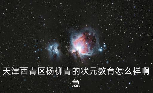 天津西青區(qū)楊柳青的狀元教育怎么樣啊急