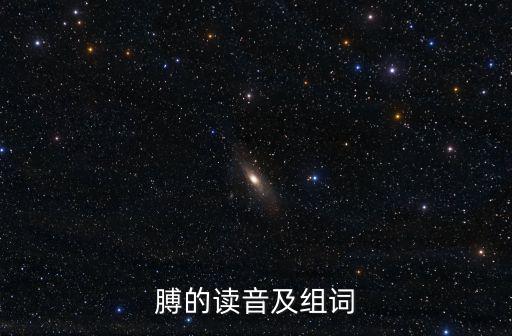 膊的讀音及組詞