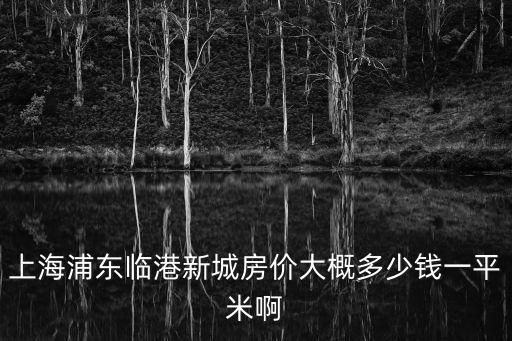 上海浦東臨港新城房價大概多少錢一平米啊