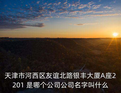 天津市河西區友誼北路銀豐大廈A座2201 是哪個公司公司名字叫什么