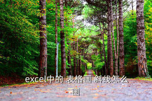 excel中的 表格畫 斜線怎么畫