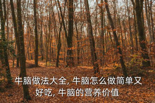  牛腦做法大全, 牛腦怎么做簡單又好吃, 牛腦的營養價值
