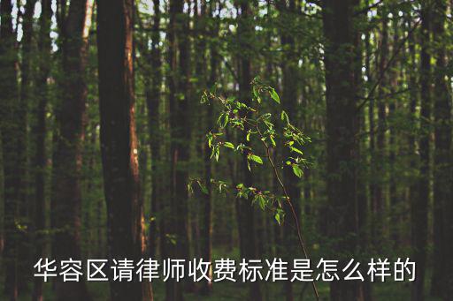 華容區請律師收費標準是怎么樣的
