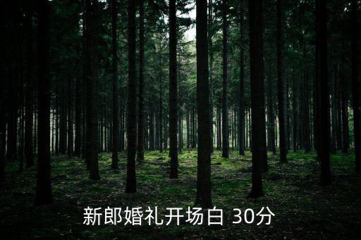 新郎婚禮開場白 30分