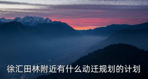徐匯田林附近有什么動遷規劃的計劃