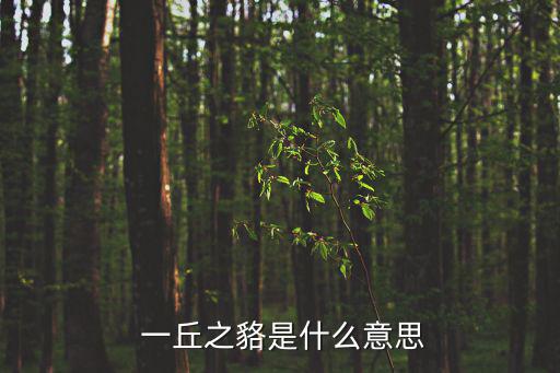一丘之貉意思,我們都是一丘之?