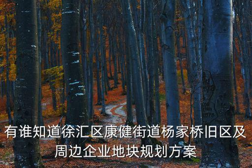 徐匯區舊房改造規劃，有誰知道徐匯區康健街道楊家橋舊區及周邊企業地塊規劃方案