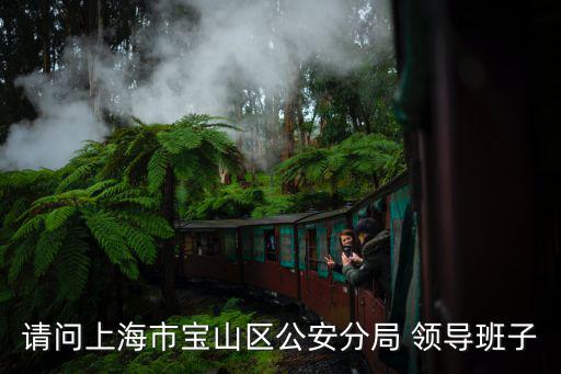 上海市各區領導調整名單，我在人在上海這里