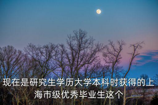 現在是研究生學歷大學本科時獲得的上海市級優秀畢業生這個