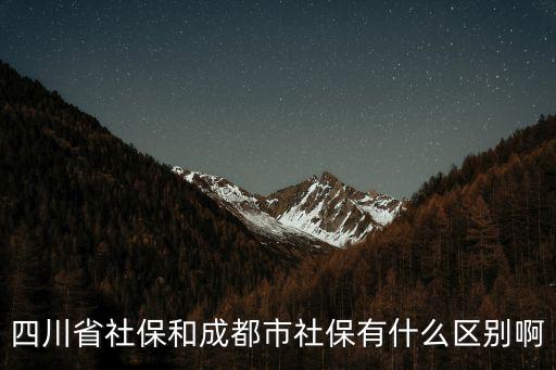 四川省社保和成都市買房區別，四川省社保和成都市社保有什么區別啊
