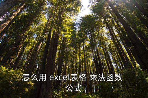 怎么用 excel表格 乘法函數 公式