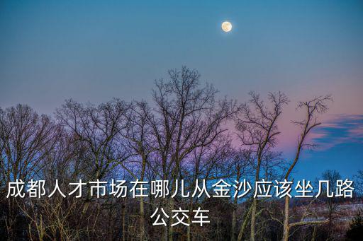 成都人才市場在哪兒從金沙應該坐幾路公交車