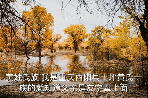 黃姓氏族 我是重慶酉陽縣土坪黃氏一族的就知道父親是友字輩上面