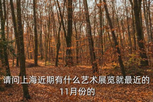 上海近期藝術展覽活動安排，請問上海近期有什么藝術展覽就最近的 11月份的