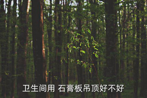 石膏線條圖片,墻上裝修要用什么?