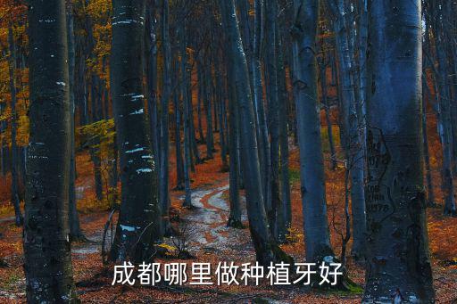 成都哪里做種植牙好