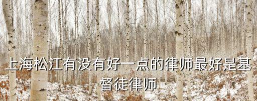 上海松江有沒有好一點的律師最好是基督徒律師