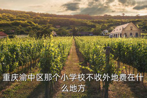 重慶渝中區那個小學校不收外地費在什么地方