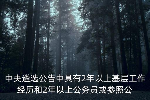 2020年中央遴選公告，中央遴選公告中具有2年以上基層工作經歷和2年以上公務員或參照公