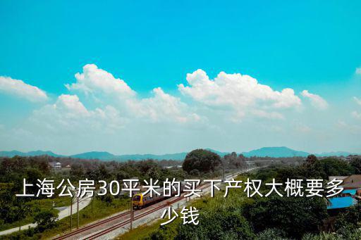上海小公寓30平方左右多少錢，上海浦東新區單身公寓多少錢一平米