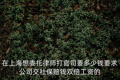上海找律師打官司一般要花多少錢，上海請律師打離婚官司一般要花多少錢怎么收費