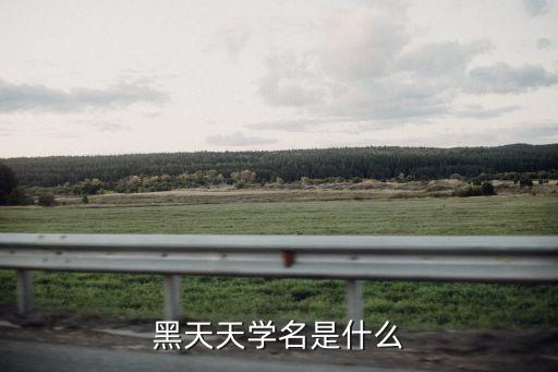 黑姑娘,東北有一種水果叫黑星它是龍葵嗎?