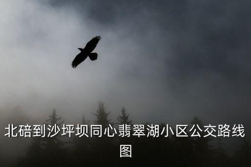 北碚到沙坪壩同心翡翠湖小區公交路線圖