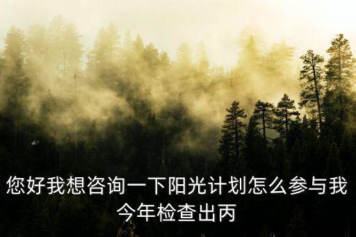 您好我想咨詢一下陽光計(jì)劃怎么參與我今年檢查出丙