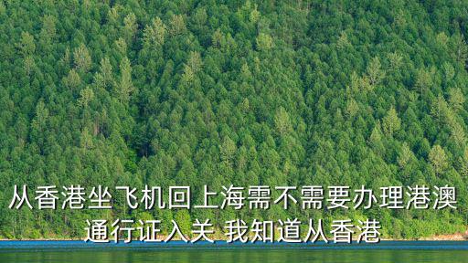 從香港坐飛機(jī)回上海需不需要辦理港澳通行證入關(guān) 我知道從香港