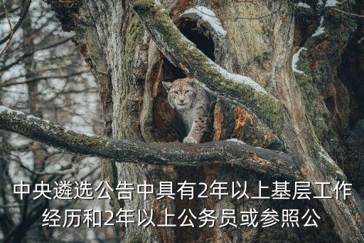 中央遴選公告中具有2年以上基層工作經歷和2年以上公務員或參照公