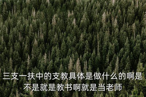 三支一扶中的支教具體是做什么的啊是不是就是教書啊就是當老師