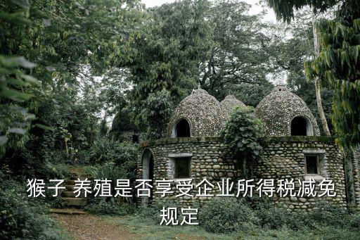 猴子養殖,企業從事下列項目所得減半征收企業所得稅