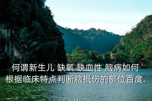 何謂新生兒 缺氧 缺血性 腦病如何根據(jù)臨床特點(diǎn)判斷腦損傷的部位百度...