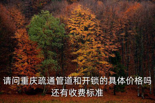 請問重慶疏通管道和開鎖的具體價格嗎還有收費標準