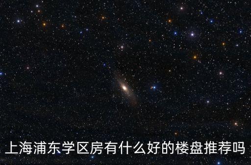 上海浦東學區(qū)房有什么好的樓盤推薦嗎