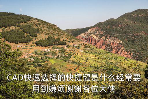 CAD快速選擇的快捷鍵是什么經常要用到嫌煩謝謝各位大俠