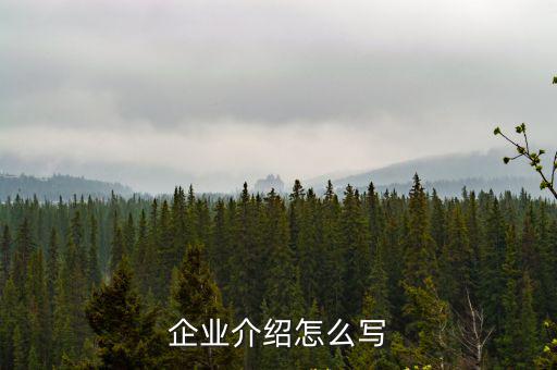 企業介紹怎么寫