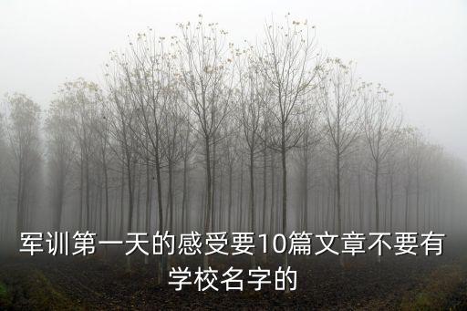 軍訓(xùn)第一天的感受要10篇文章不要有學(xué)校名字的